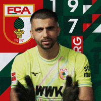 Football Cheer On GIF by FC Augsburg 1907