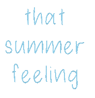 Feels Summer Fun Sticker