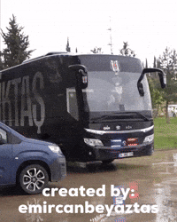 Beşiktaş GIF