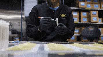 Grow Head In The Clouds GIF by Exclusive Brands
