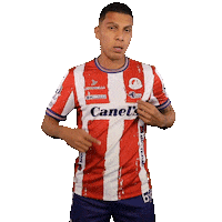 Adsl Sticker by Atlético de San Luis