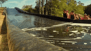 cmt GIF by Redneck Island