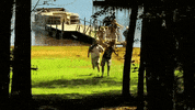 cmt GIF by Redneck Island