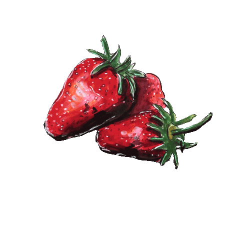 illustration strawberry Sticker by Famee DESIGN AGENTUR