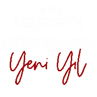 Mnks Yeniyıl Sticker