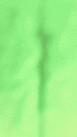 Frog GIF by Youtooz
