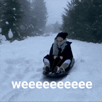 Sledding Snow Day GIF by Blake Lively Fan