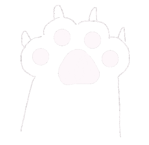 Nail Sticker