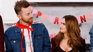 valentines day no GIF by Rosanna Pansino