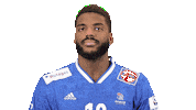 France Hand Sticker by EHF