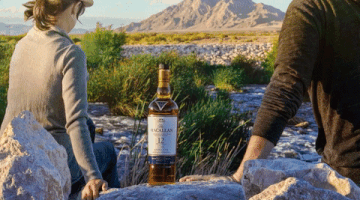 usmacallan macallan GIF