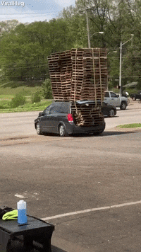 car wtf GIF by ViralHog