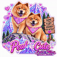 Chow Chow Cute Dogs GIF