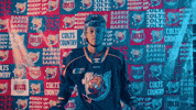 Happy Nhl Draft GIF by NHL