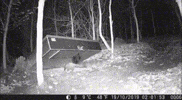 GIF by muensterlandfalle.de