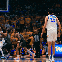 Pitt Panthers Celebration GIF by Pitt Men's Basketball