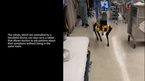 csailmitedu giphygifmaker GIF