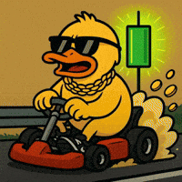 Duck Boost GIF by DUCKCOIN