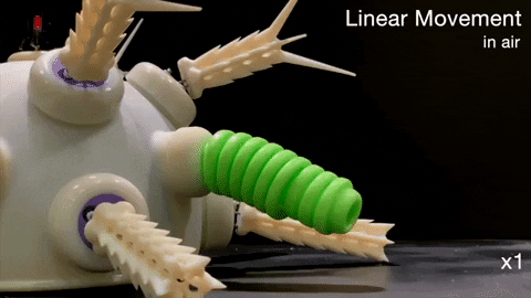 tulsimo giphygifmaker GIF