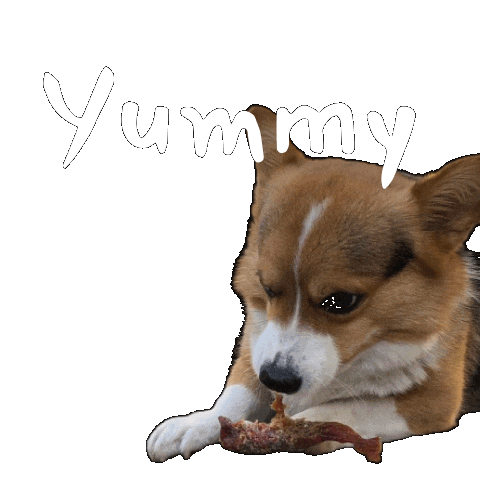 Corgi Milo Sticker
