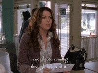 season 4 netflix GIF by Gilmore Girls 