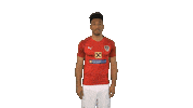 Team Austria Sticker by ÖFB
