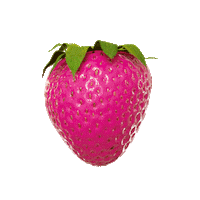 Pink 3D Sticker by Carol Civre