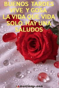 La Vida Flores GIF by Murcianys LLC