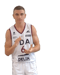 Basketball Basket Sticker by JDA Dijon