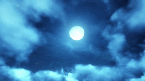 erictoffey giphyupload GIF