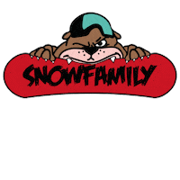 Kitesurfing Sticker by Snowfamily