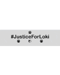 Justiceforloki Sticker by WoofWaggers