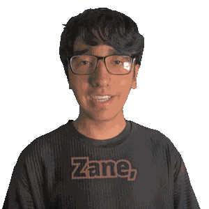 Zane Zain Sticker