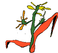 Flower Go Easy Sticker by Jamie Wolfe