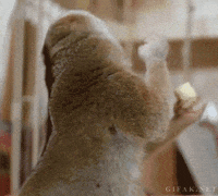 agent m GIF by Agent M Loves Gifs