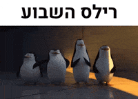 Happy Penguin GIF