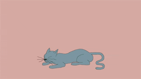 Loop Cats GIF by Rullampo