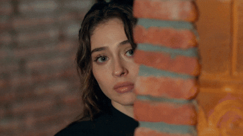 Leyla GIF by Ay Yapım