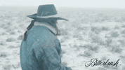 Dog Horse GIF by Magnolia Pictures