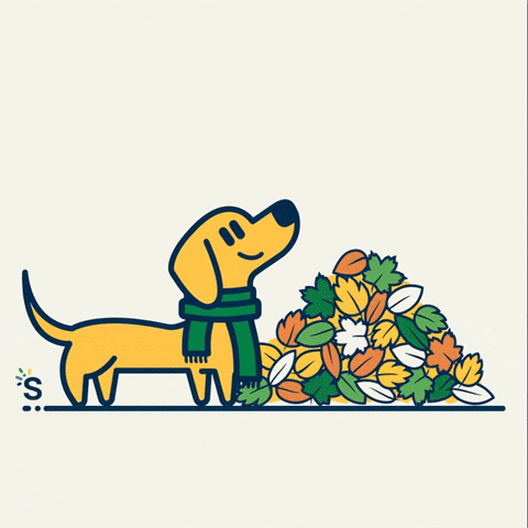 Dog Fall GIF by Snap Finance