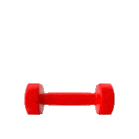 Fitness Training Sticker by World Class
