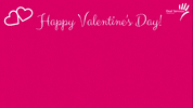 deafculture love GIF by Deaf Services