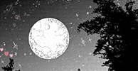 Night Sky Stars GIF