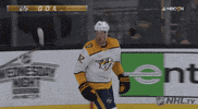 nhl sports sport hockey nhl GIF