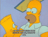 Season 1 GIF by The Simpsons