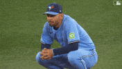 Blue Jays Baseball GIF by Toronto Blue Jays