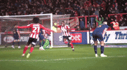 Ecfc GIF by Exeter City Football Club