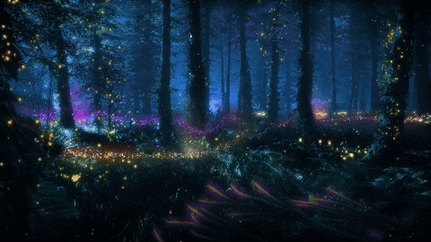 Wallpaper GIF