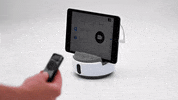 GIF by Swivl