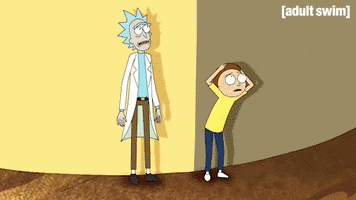 Season 1 Episode 105 GIF by Rick and Morty
